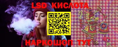 винт Новодвинск
