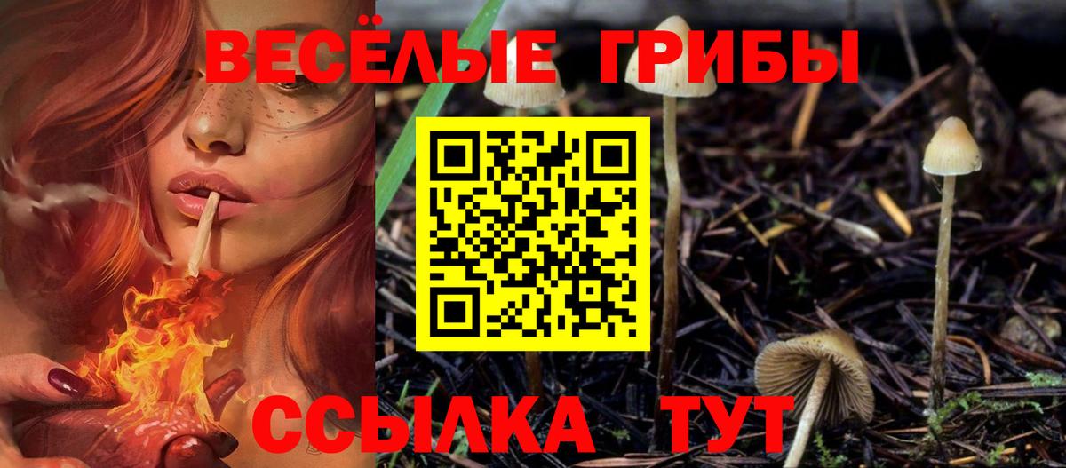 Сунжа  Галлюциногенные грибы ЛСД  Галлюциногенные грибы мухоморы  Вход с VPN 