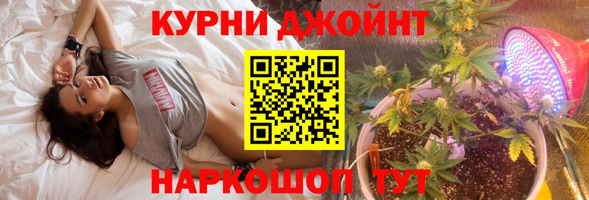 Каннабис ГИДРОПОН Сунжа
